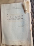 Gheorghe Niculescu - Afectiunile Intestinului subtire