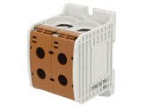 Conector &Icirc;mbinare Șine 185mm2 1 Pista 4 Borne Maro
