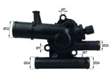 Termostat lichid racire Renault Grand Sc&eacute;nic II, Megane II, Sc&eacute;nic II Motor 1.9 D, 1.9 dCi, 1.9 dCi, 1.9 dCi, 1.9 dCi, 1.9 dCi, OE 8200674366