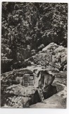 CPI B 11021 CARTE POSTALA - PUTNA. CHILIA LUI DANIIL SIHASTRUL