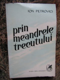 PRIN MEANDRELE TRECUTULUI-ION PETROVICI