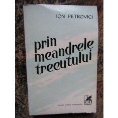 PRIN MEANDRELE TRECUTULUI-ION PETROVICI