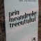 PRIN MEANDRELE TRECUTULUI-ION PETROVICI