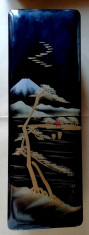 Veche Cutie pictata muntele Fuji foto