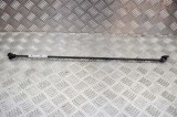Amortizor capota TOYOTA RAV 4 V XA50 2020 12076042