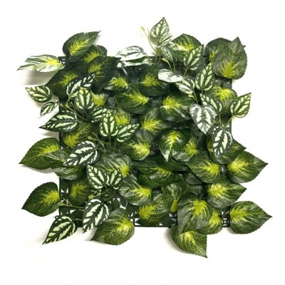Perete verde din plastic Aureus 33x33 cm foto