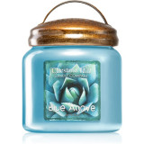 Chestnut Hill Blue Agave lum&acirc;nare parfumată 454 g