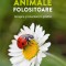 Animale Folositoare - Atragere Si Colonizare In Gradina, Ursula Kopp - Editura Casa