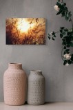 Tablou Canvas, "Raze bl&acirc;nde printre crenguțe subțiri", Apus, Lumină, Siluete, Natură, Contrast, Ramuri, Căldură, Frumusețe, Tranquilitate, Delicatese,