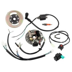 Magnetou + Volanta + Instalatie ATV TaoTao 107cc 110cc 125cc - 2 bobine