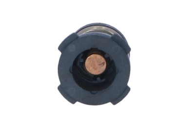 NRF 725225 termostat,lichid racire foto