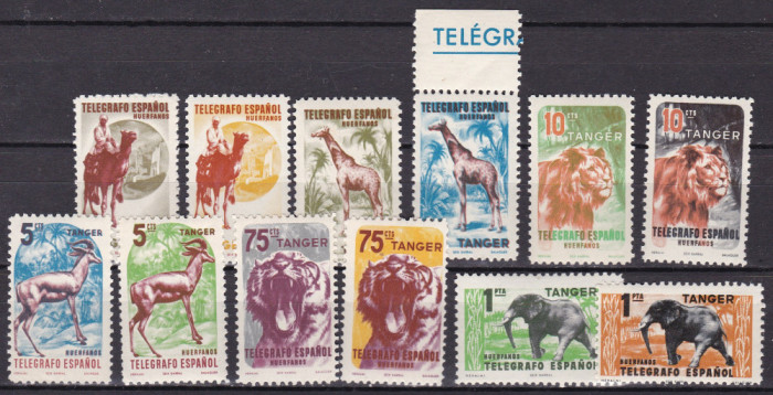 Tanger 1957 fauna MNH