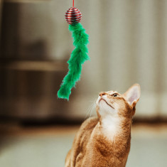 Jucărie pentru pisici - culori de Crăciun - 2 tipuri foto