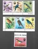paraguay pasari mnh