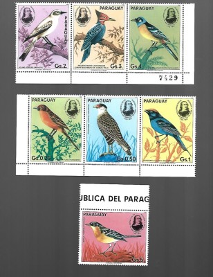 paraguay pasari mnh foto