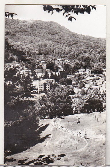 bnk cp Olanesti - Vedere - uzata