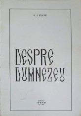 DESPRE DUMNEZEU-V. IESANU-318596