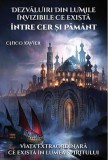 Dezvaluiri din lumile invizibile ce exista intre Cer si Pamant | Chico Xavier, Ganesha