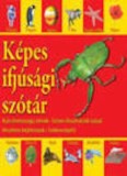 Cumpara ieftin Kepes ifjusagi szotar. Dictionar vizual pentru cei mici Hu/***