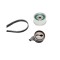 Kit distributie Ina 530027410