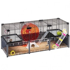 Cu?ca pentru hamsteriFerplast Multipla Hamster Large foto