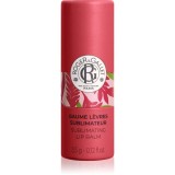 Roger &amp; Gallet Gingembre Rouge Sublimating Lip Balm balsam de buze 3.5 g