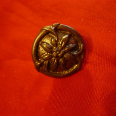 Insigna veche cu buton - Floare de Colt -Austria , d=2,2cm , metal