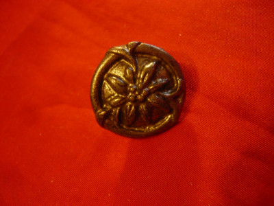 Insigna veche cu buton - Floare de Colt -Austria , d=2,2cm , metal foto