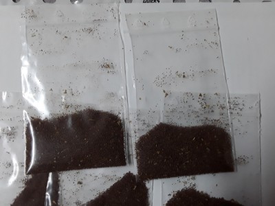 Casa si gradina foto