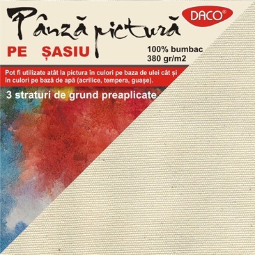 Panza pictura pe sasiu 30x30 Daco foto