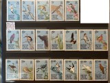 PC461 - BRITISH VIRGIN ISLANDS 1985 Fauna/ Pasari, serie MNH, 19v