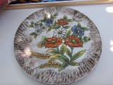 Farfurie decorativă vintage din ceramică elvețiană &ndash; Pictată manual (Stein am Rhein)
