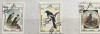 (B ) Timbre serii Straine Fauna Pasari, Stampilat