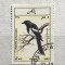 (B ) Timbre serii Straine Fauna Pasari