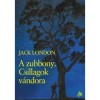 A zubbony. Csillagok v&aacute;ndora - Jack London