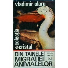 Vladimir Olaru - Din tainele migratiei animalelor