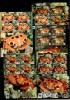 Aitutaki 2014 WWF Crabs 5 perf. sheets MNH M.380, Nestampilat