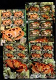 Aitutaki 2014 WWF Crabs 5 perf. sheets MNH M.380