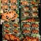 Aitutaki 2014 WWF Crabs 5 perf. sheets MNH M.380