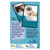 Nature Challenge: Pisici