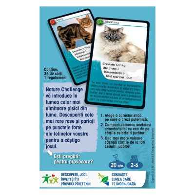 Nature Challenge: Pisici foto