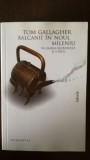 Balcanii in noul mileniu-Tom Gallagher