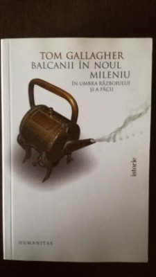 Balcanii in noul mileniu-Tom Gallagher foto