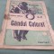 GANDUL COLORAT NR.7