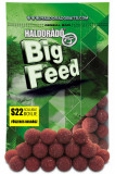 Haldorado - Big Feed S22 Soluble Boilie Carnat Condimentat -800g,22mm