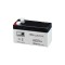 Acumulator AGM 1.3Ah 6V seria MW Power,MWS1.3-6,terminal de conexiune F1,