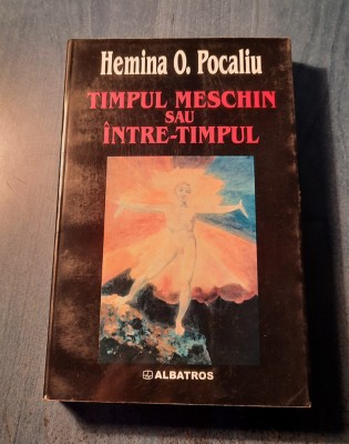 Timpul meschin sau intre-timpul Hemina O. Pocaliu foto