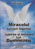 Miracolul salvarii ingerilor. Iubirea si iertarea Lui Dumnezeu - Ion Stefan