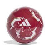 FC Liverpool minge Club Home active - 5