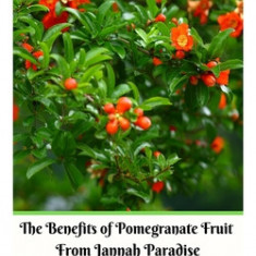 The Benefits of Pomegranate Fruit from Jannah Paradise For Mental Health and Body Healing